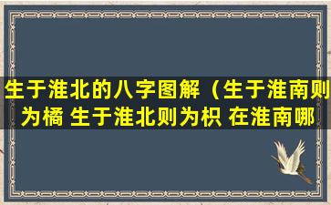 生于淮北的八字图解（生于淮南则为橘 生于淮北则为枳 在淮南哪里）